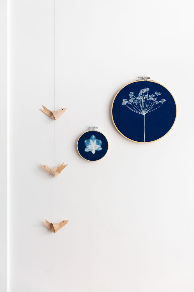 Cyanotype S Orchidee