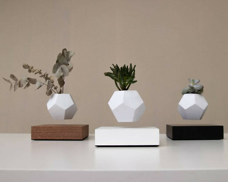LYFE Zwevende Plant – Walnoot