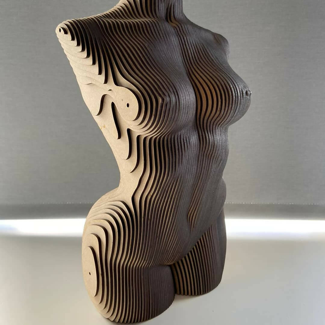 Torso