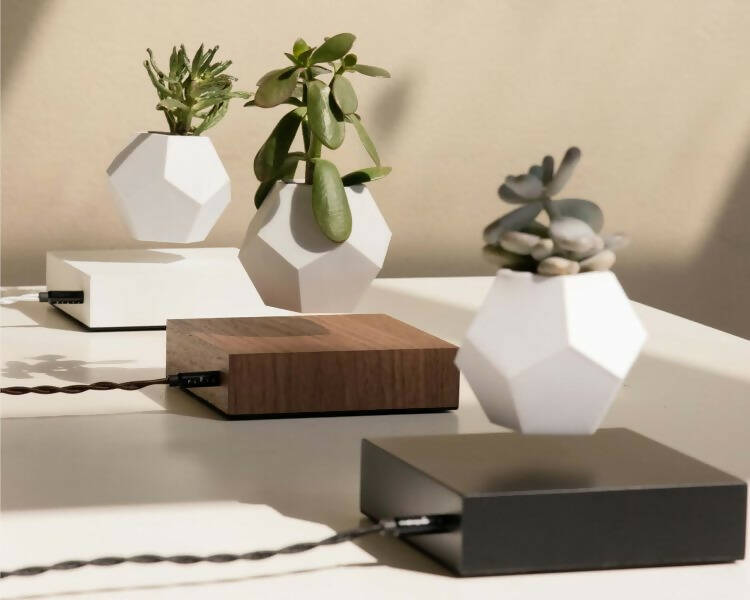 LYFE Levitating Planter – White