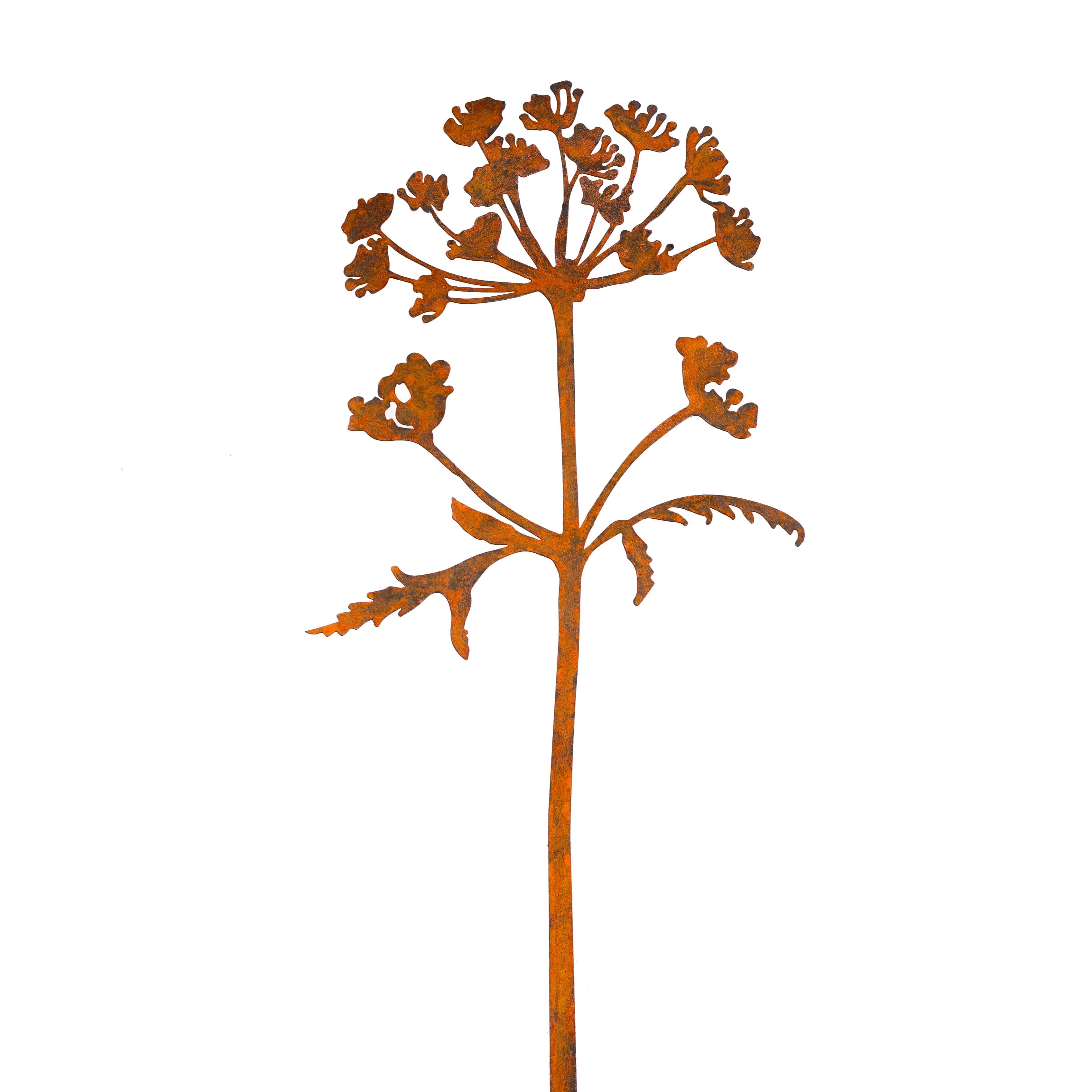 Hogweed Corten Steel Sculpture (Berenklauw)