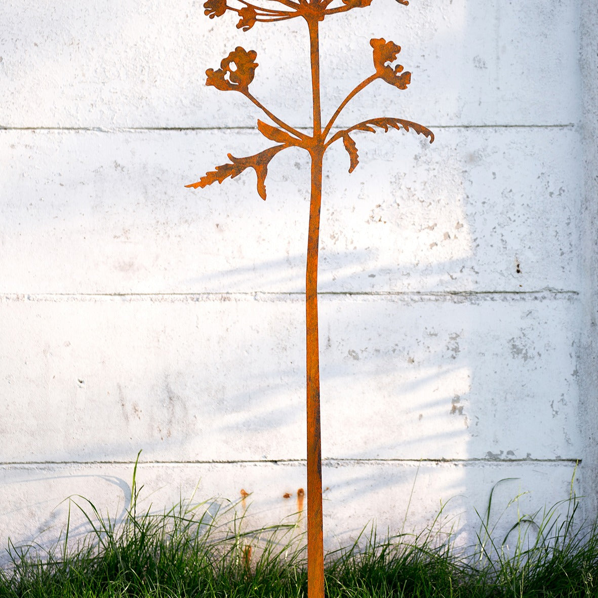 Hogweed Corten Steel Sculpture (Berenklauw)