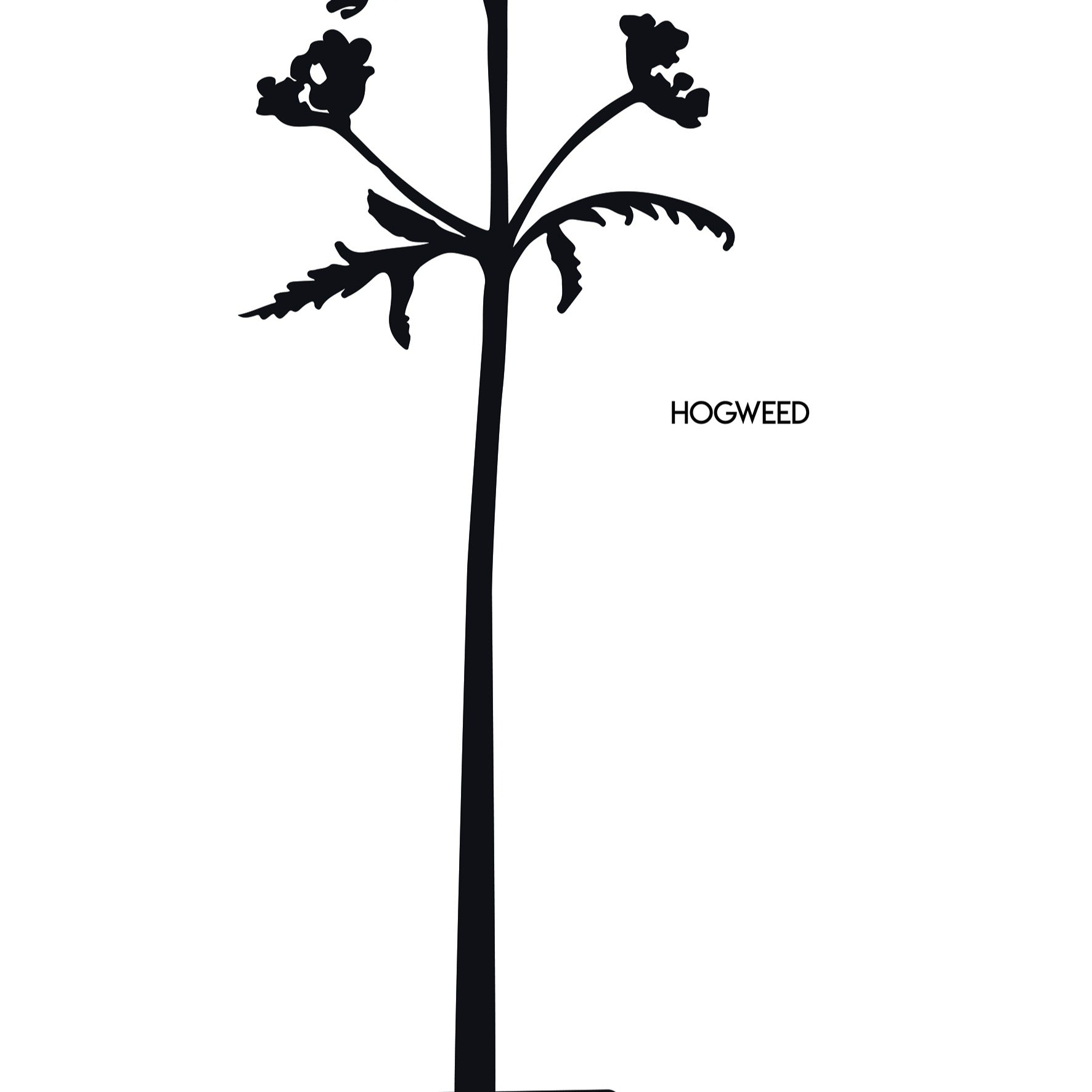 Hogweed Corten Steel Sculpture (Berenklauw)