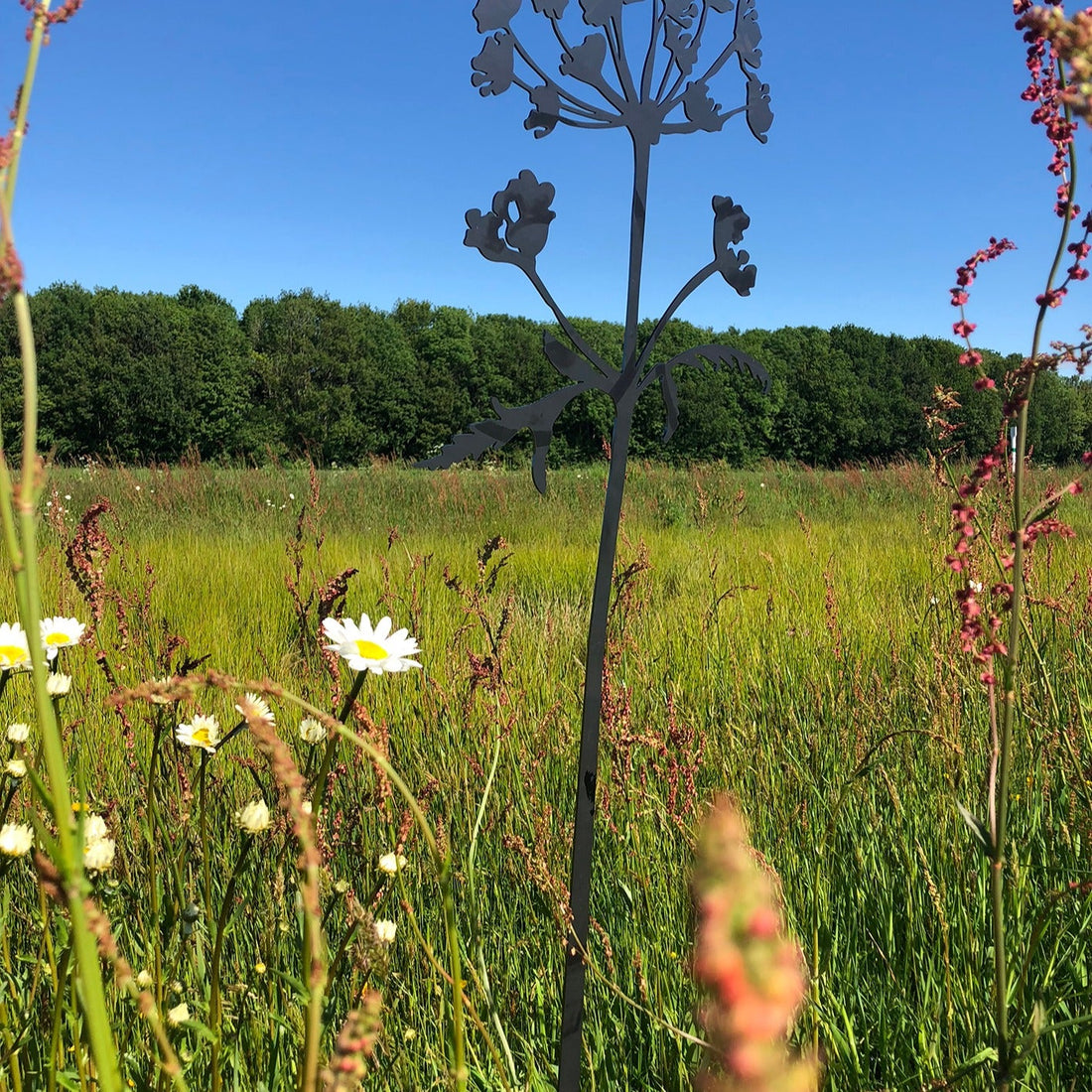 Hogweed Corten Steel Sculpture (Berenklauw)