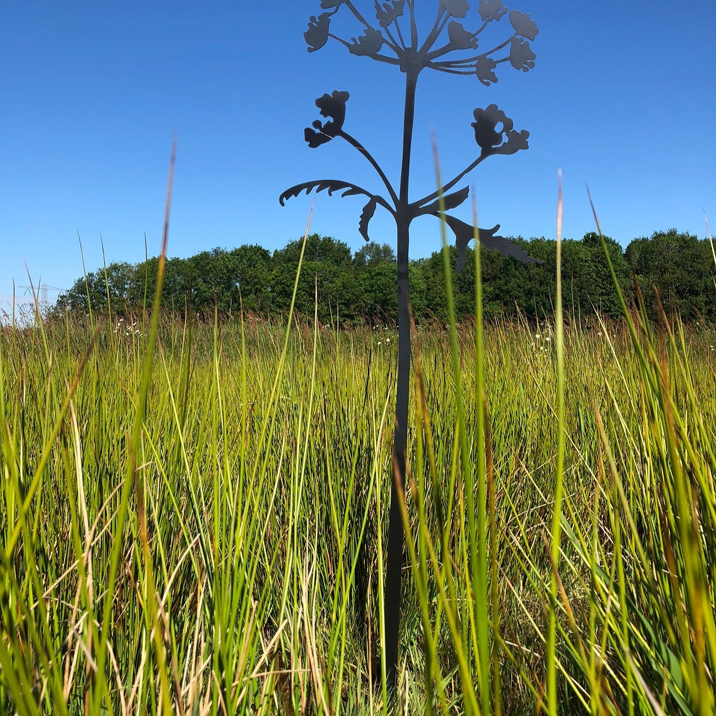 Hogweed Corten Steel Sculpture (Berenklauw)