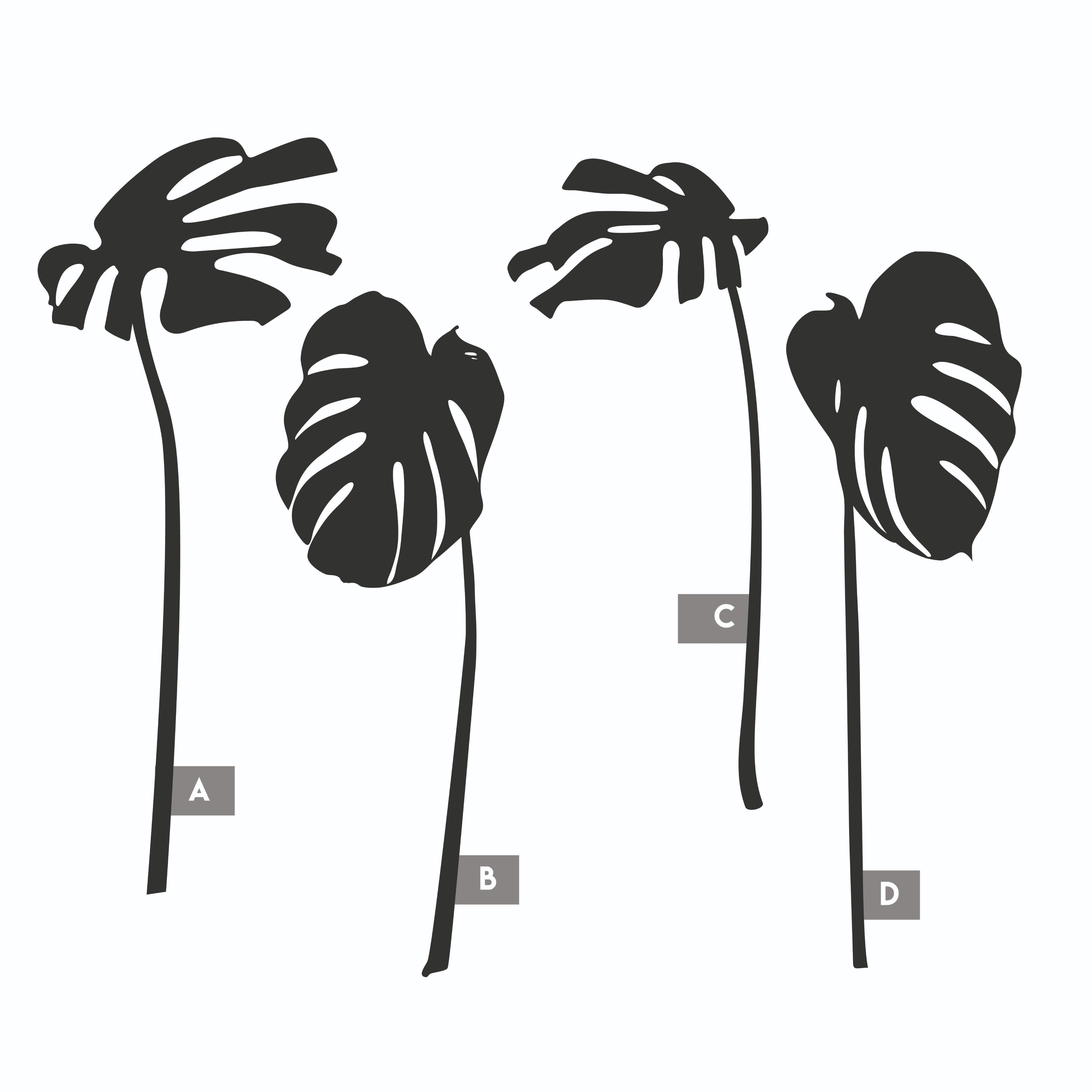 Monstera Sculptuur