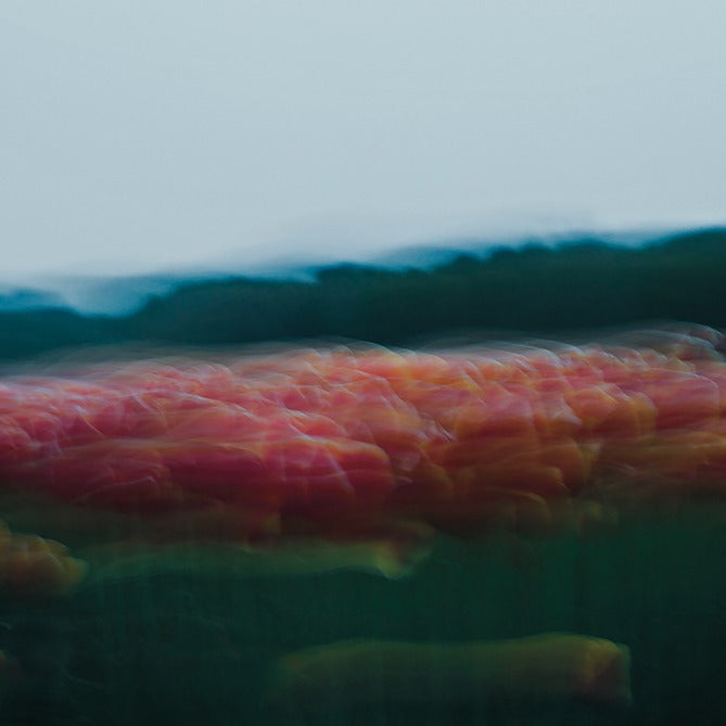 Magic Artwear "Pink Sheep&