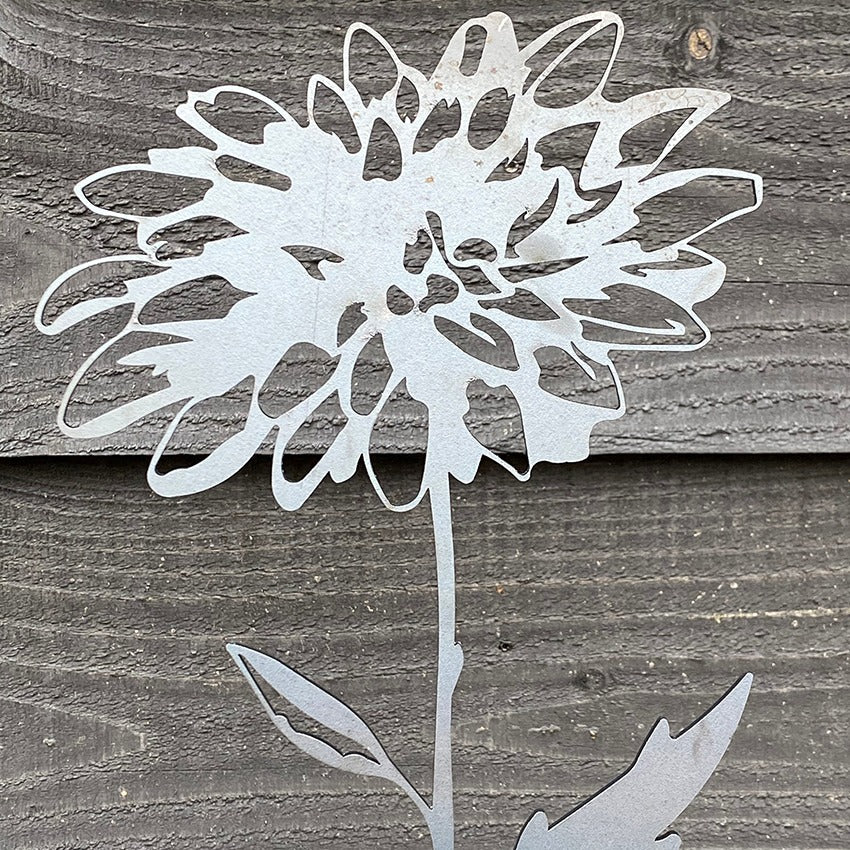 Dahlia B Cortenstaal 70cm