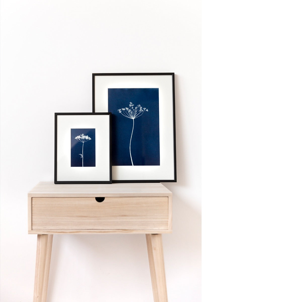 Cyanotype fine art print 10x15 Fluitenkruid