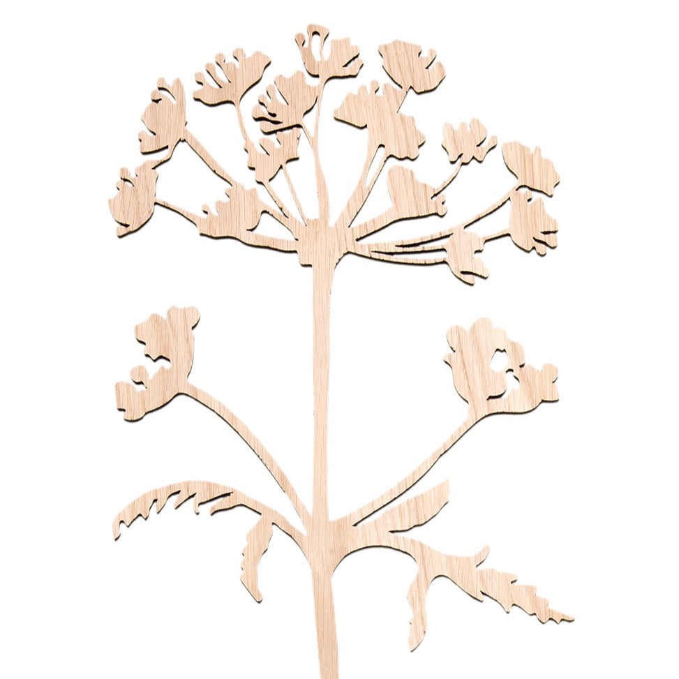Hogweed sculpture wood I Berenklauw houten stengel