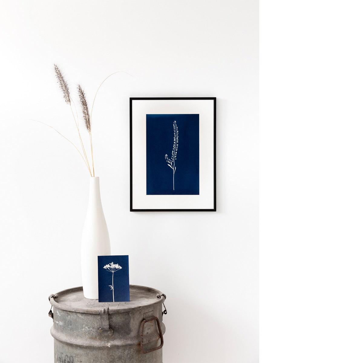 Cyanotype fine art print 10x15 Fluitenkruid