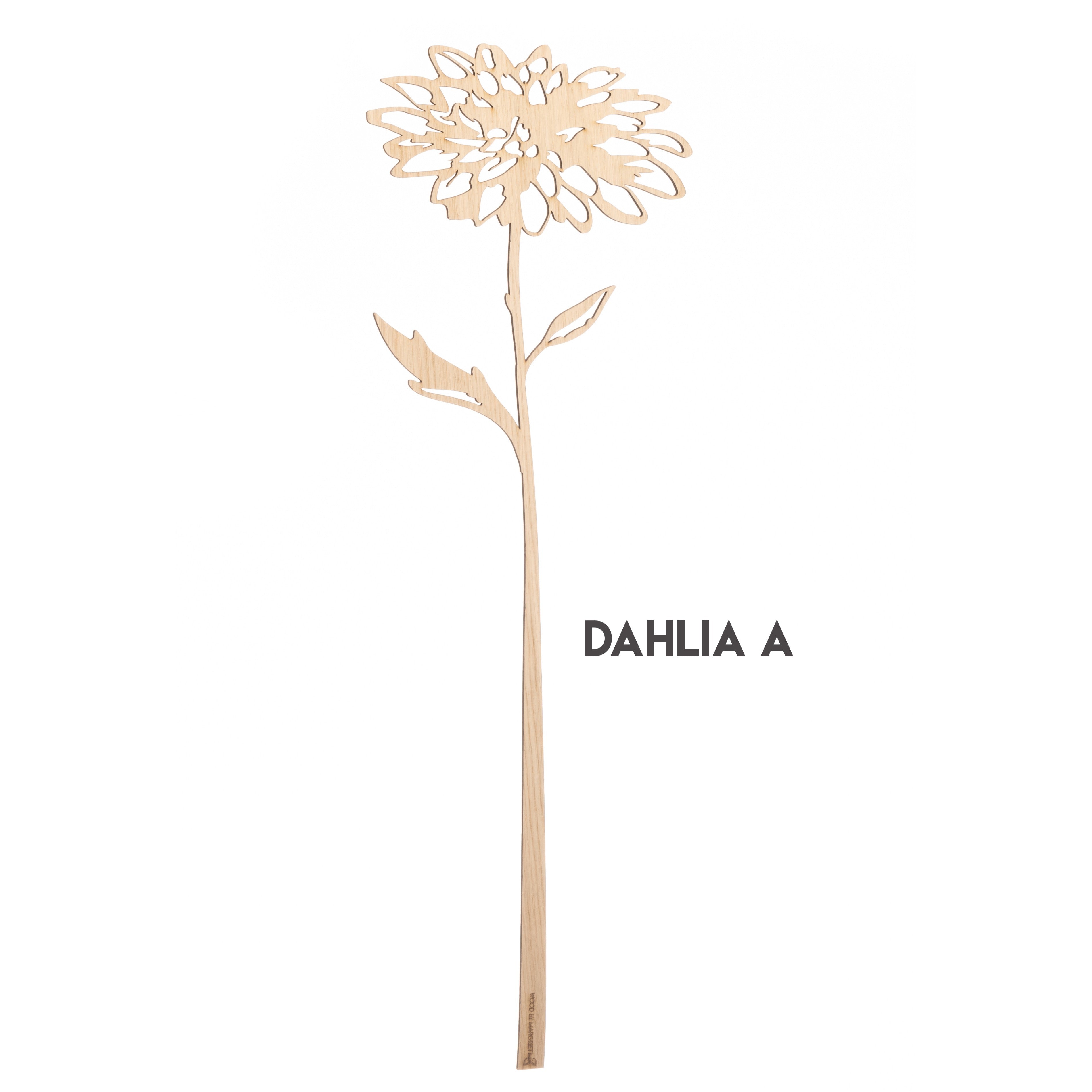 Dahlia Wood