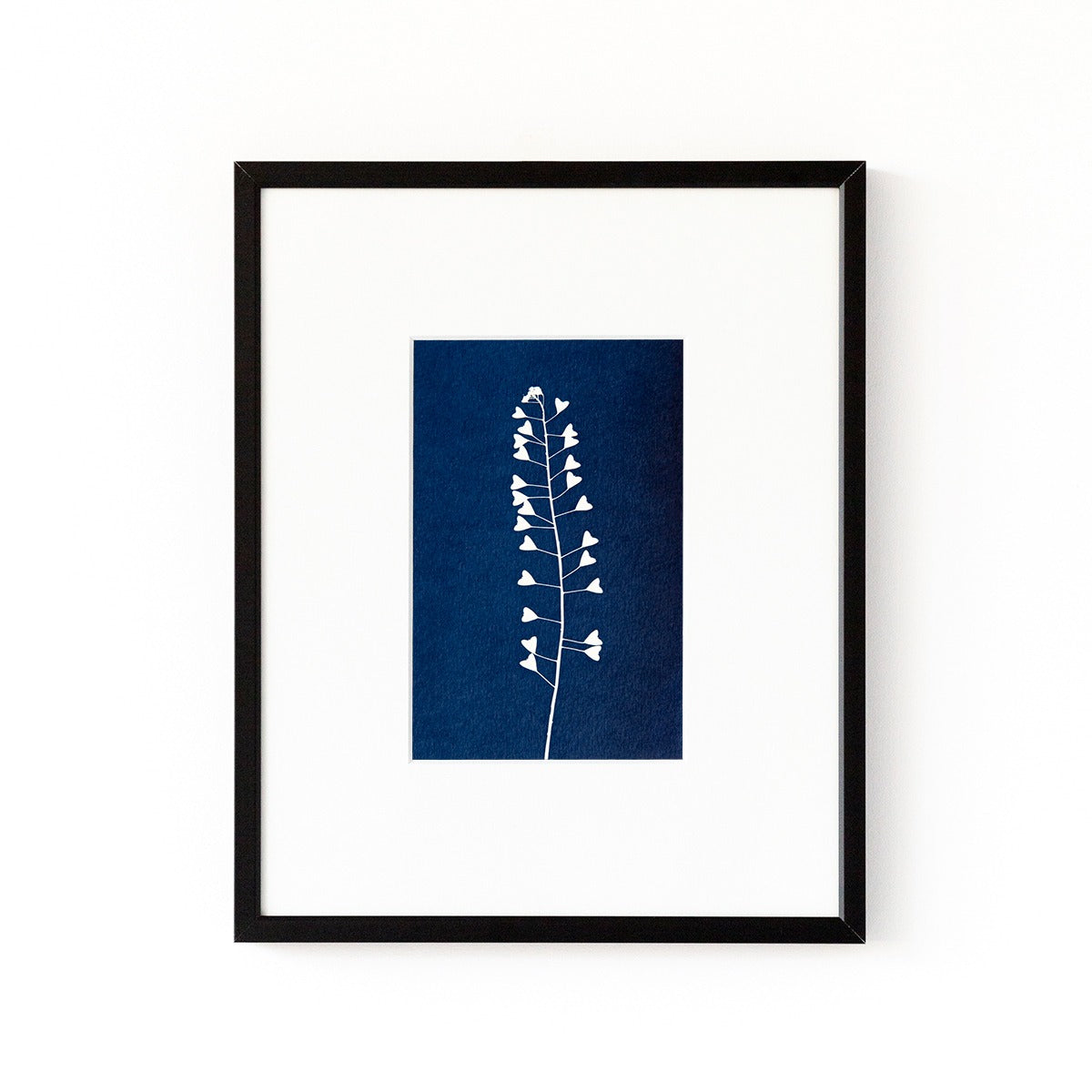 Cyanotype 10x15 Herderstasje No. 2