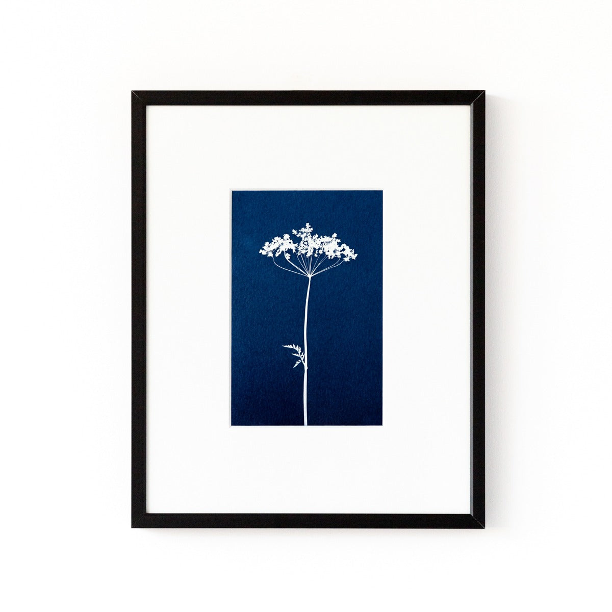 Cyanotype fine art print 10x15 Fluitenkruid