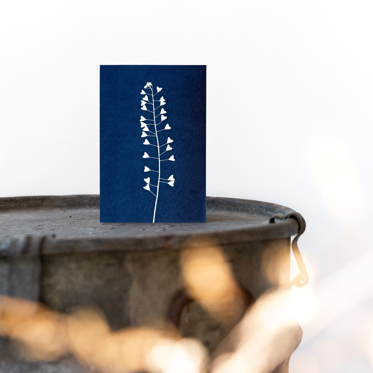 Cyanotype 10x15 Herderstasje No. 2