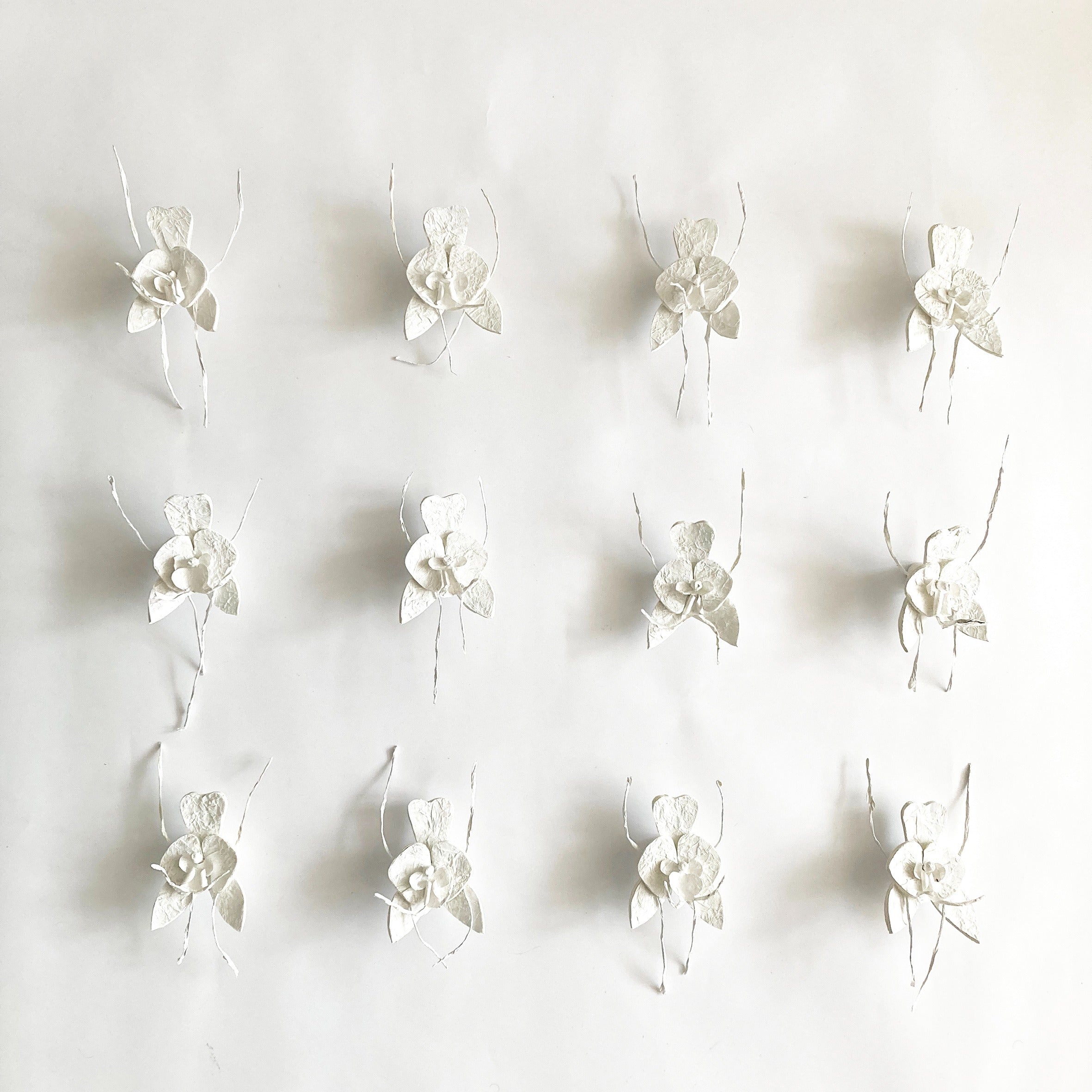 Orchidee muur decoratie