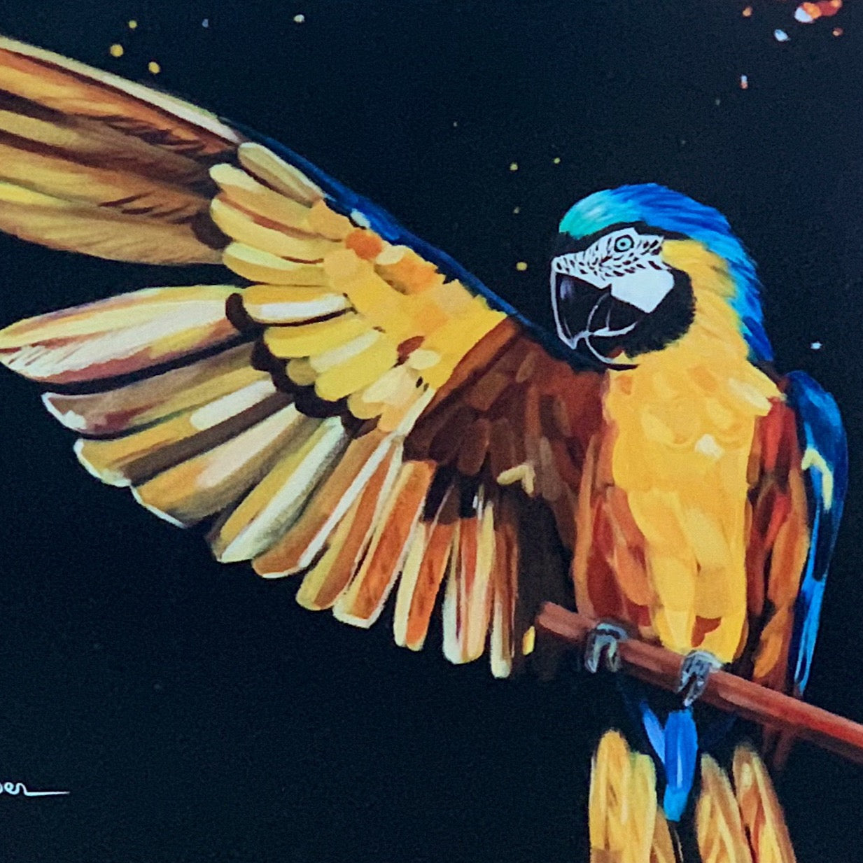 4 dieren - abstracte kaarten