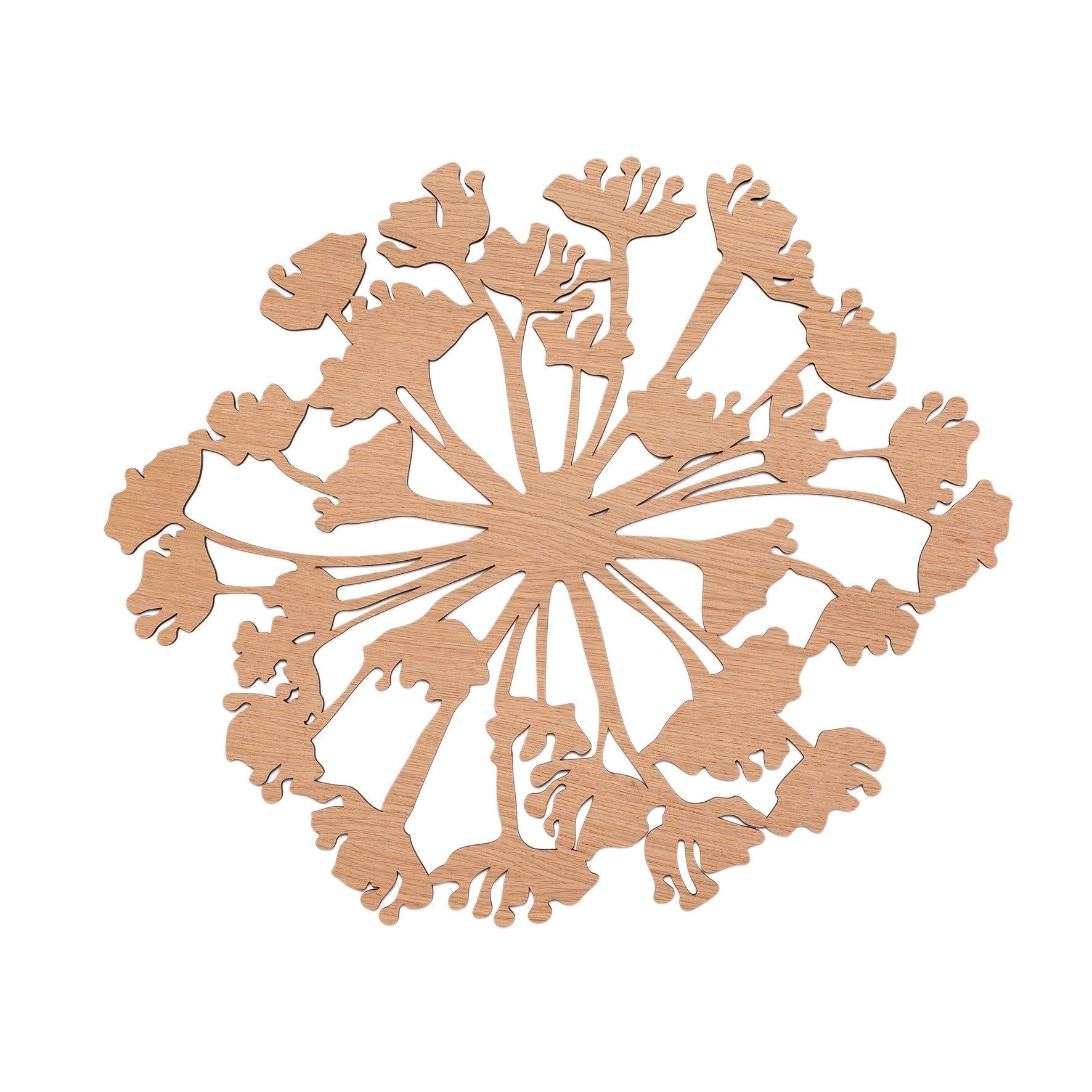 Berenklauw Wall flower