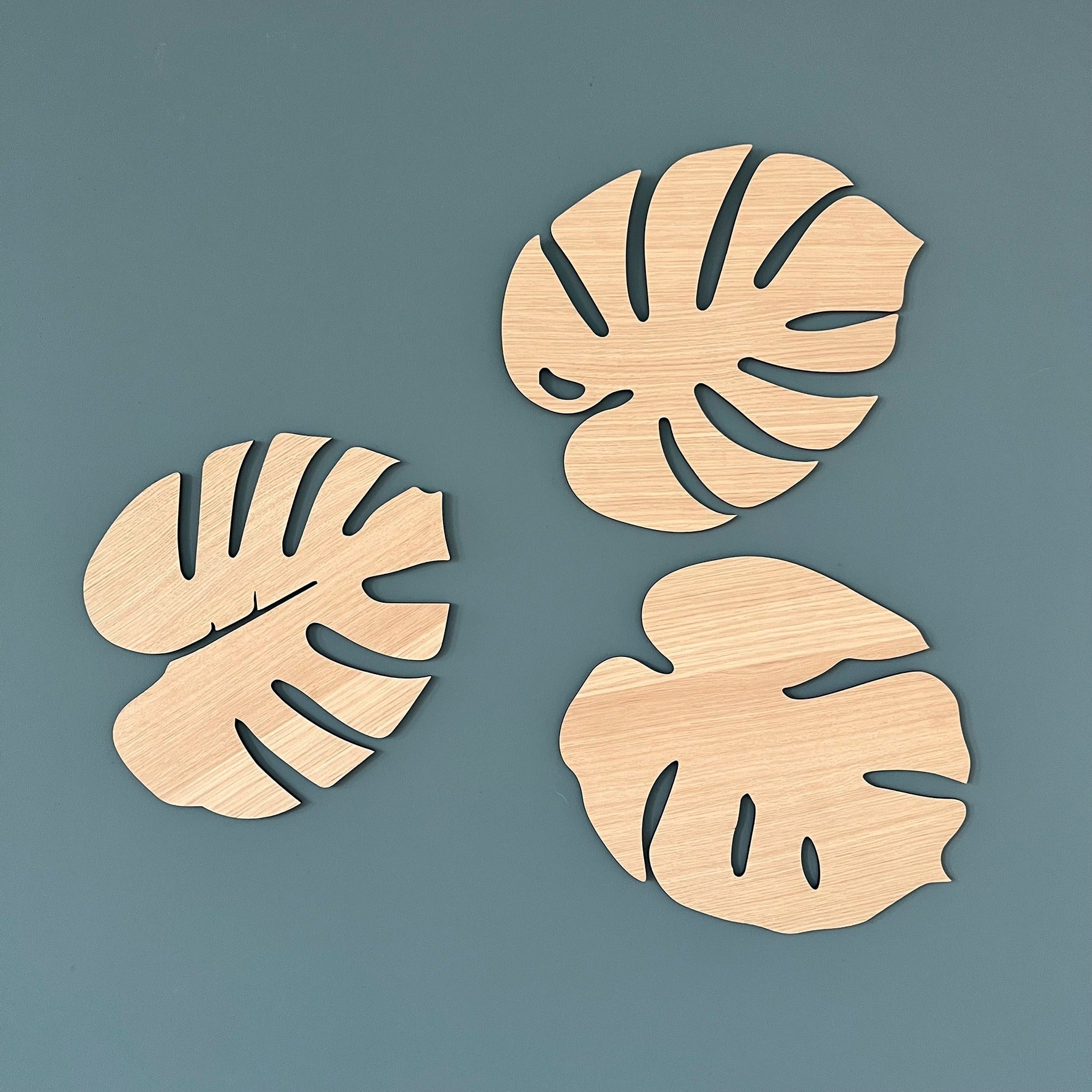 Monstera Wall Flower, oak