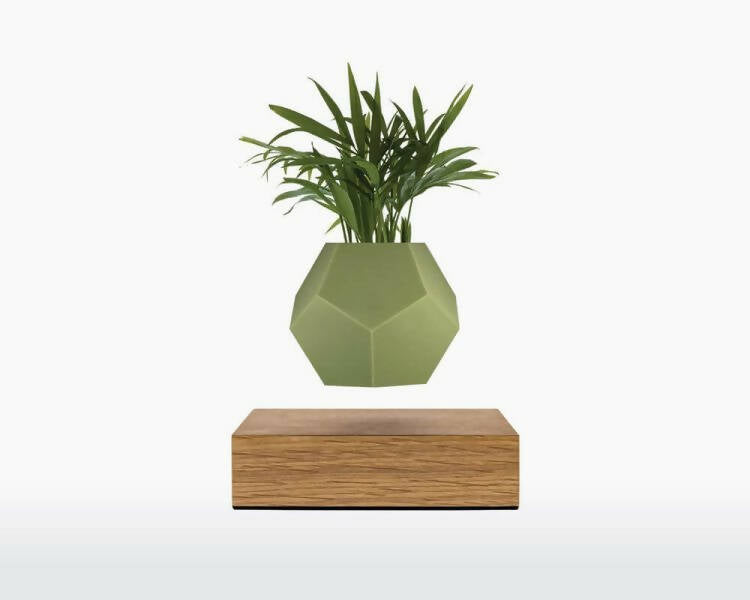 Silicone Skin – LYFE
