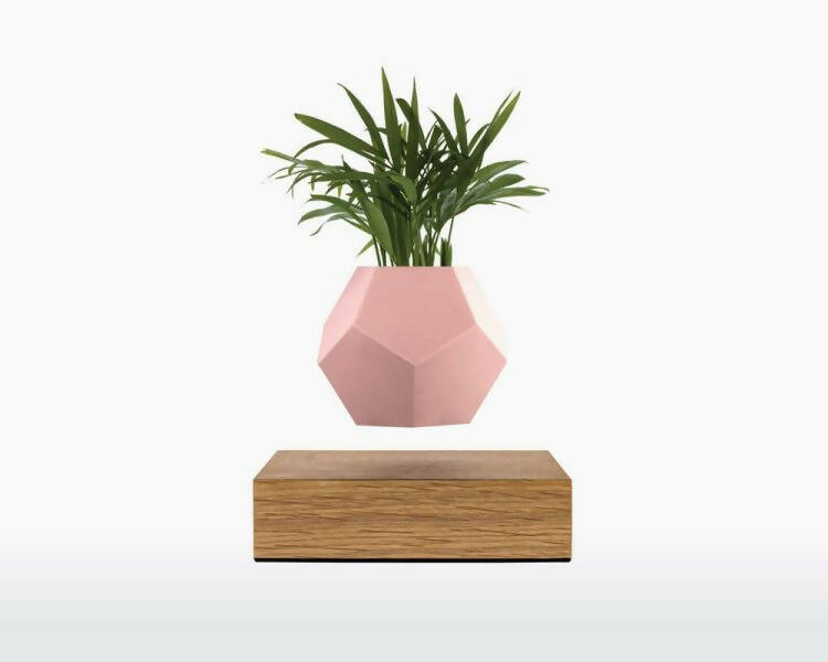 Silicone Skin – LYFE