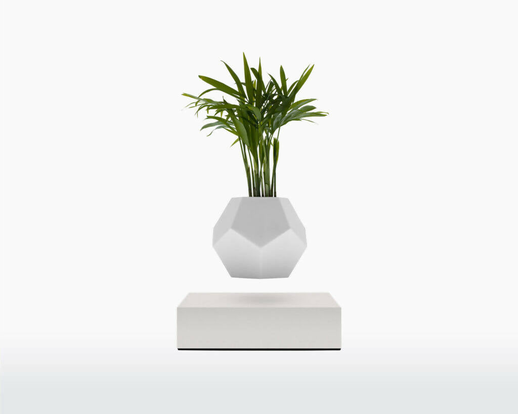 LYFE Levitating Planter – White