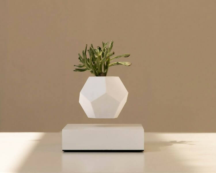 LYFE Levitating Planter – White