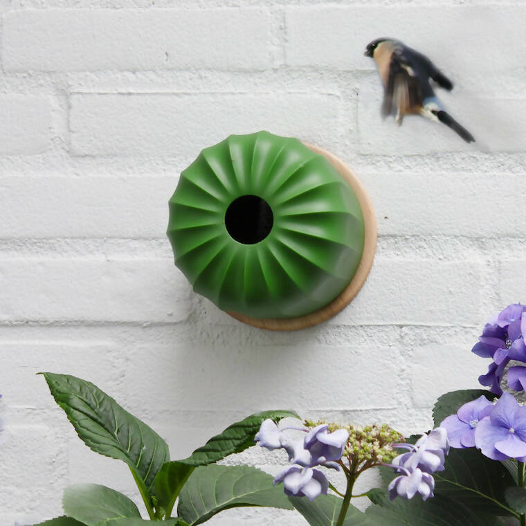 Cactus Vogel- & Voederhuisje