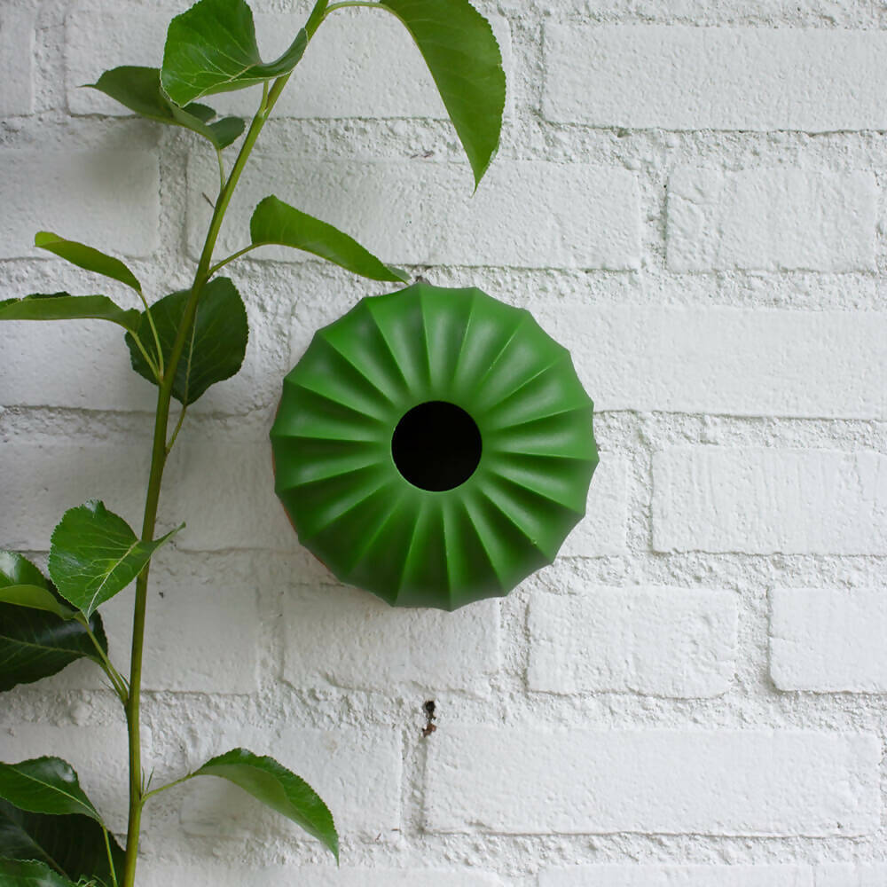 Cactus Vogel- & Voederhuisje