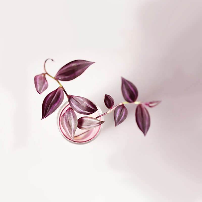 Flower Tube vaas Laag - Studio About