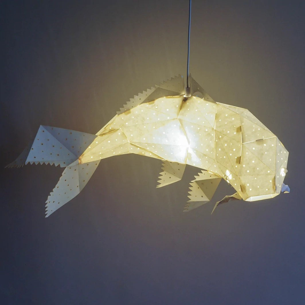Koi Hikari Light