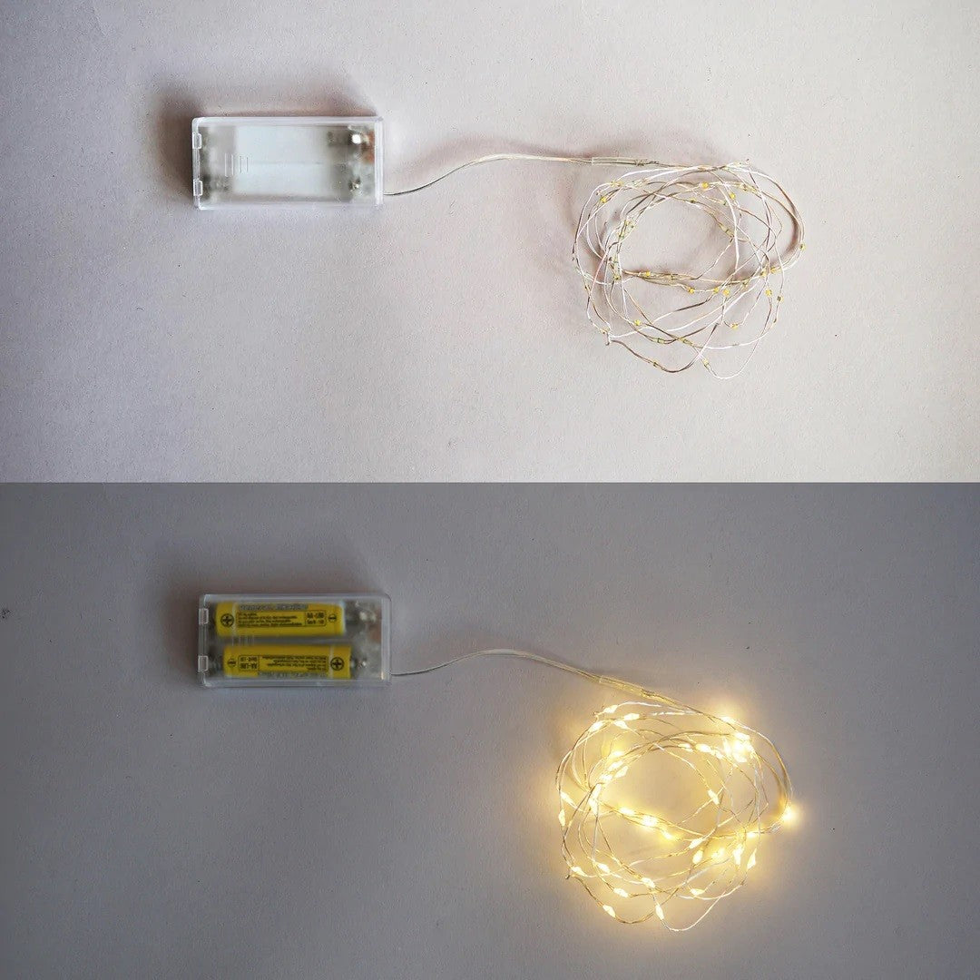 Koi Showa Light