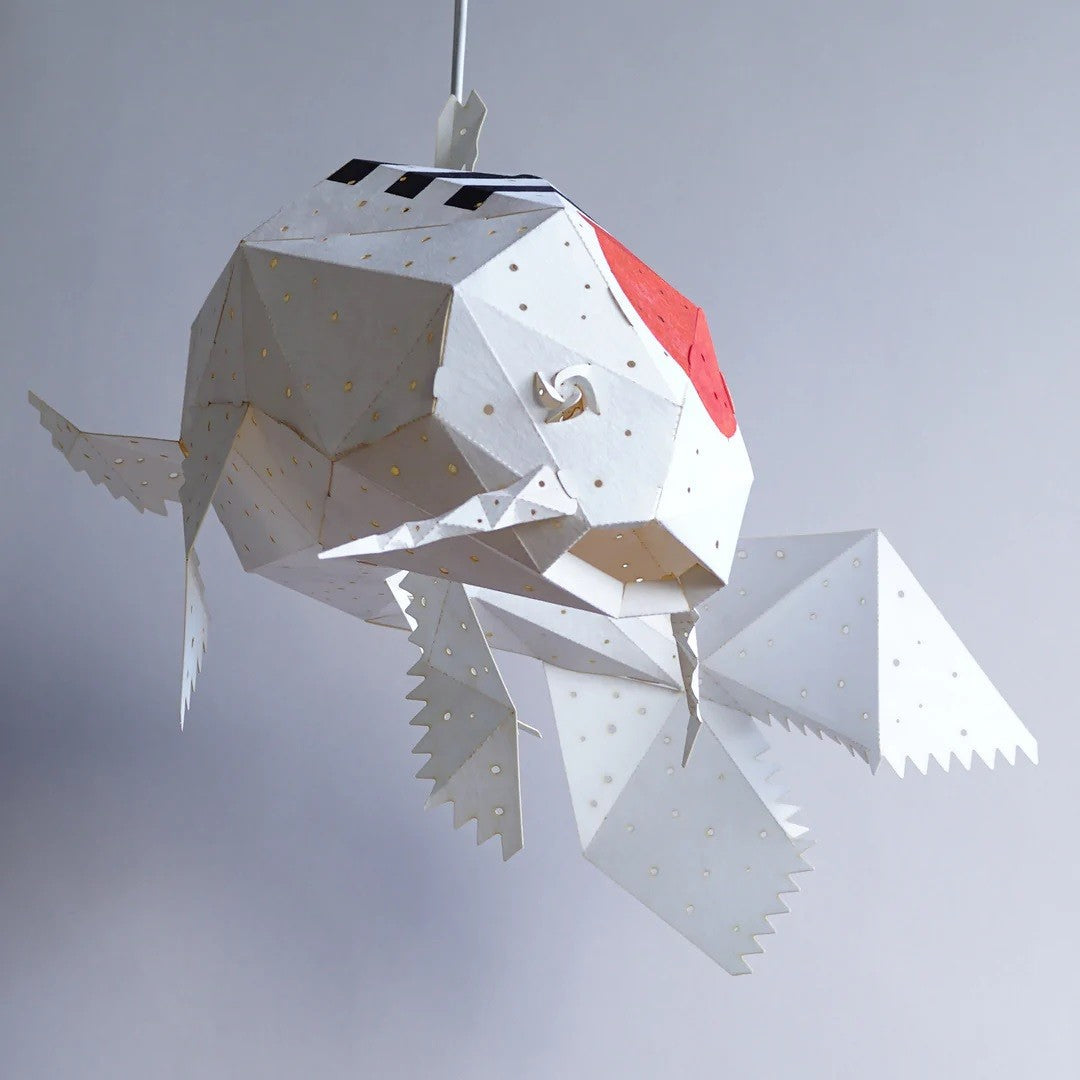 Koi Showa Light