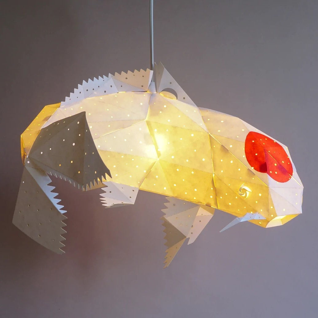 Koi Tancho Light