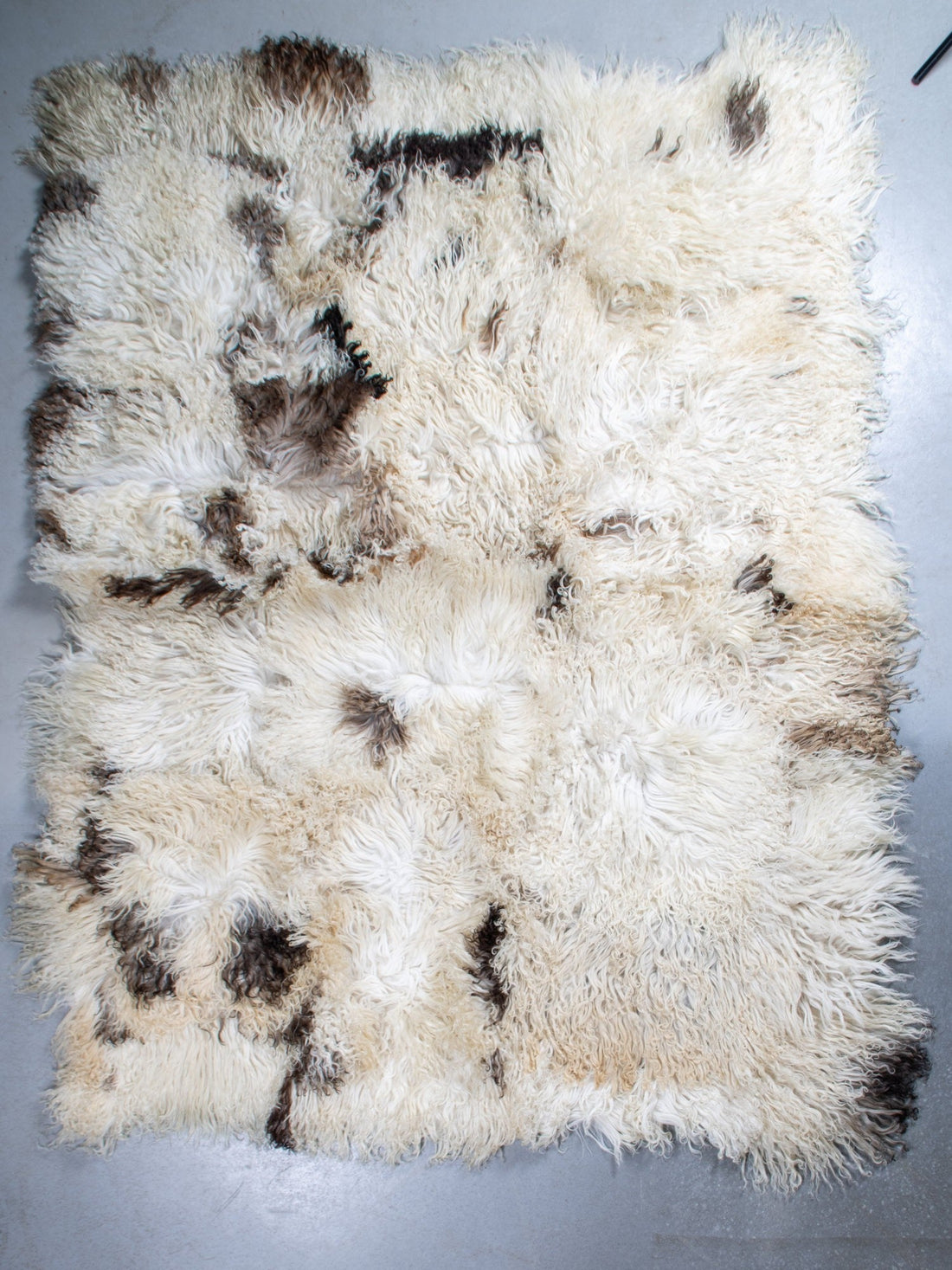 Schapenvacht vloerkleed - Krulvacht | 200x150 cm - 74