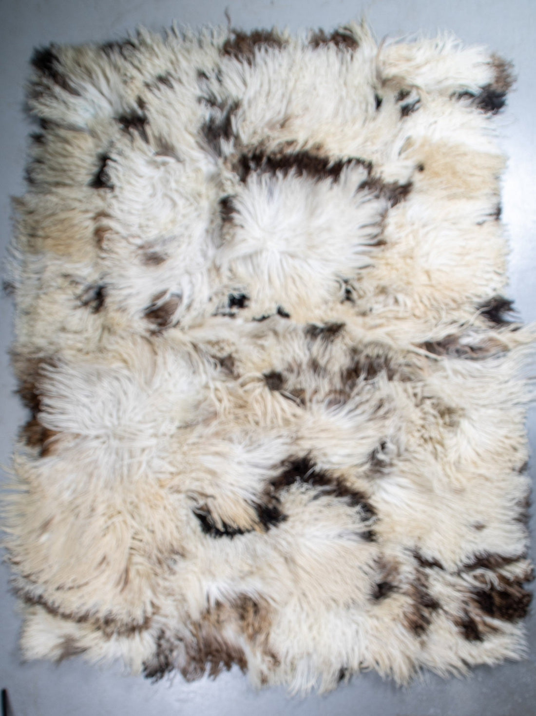 Schapenvacht vloerkleed - Krulvacht | 200x150 cm - 75