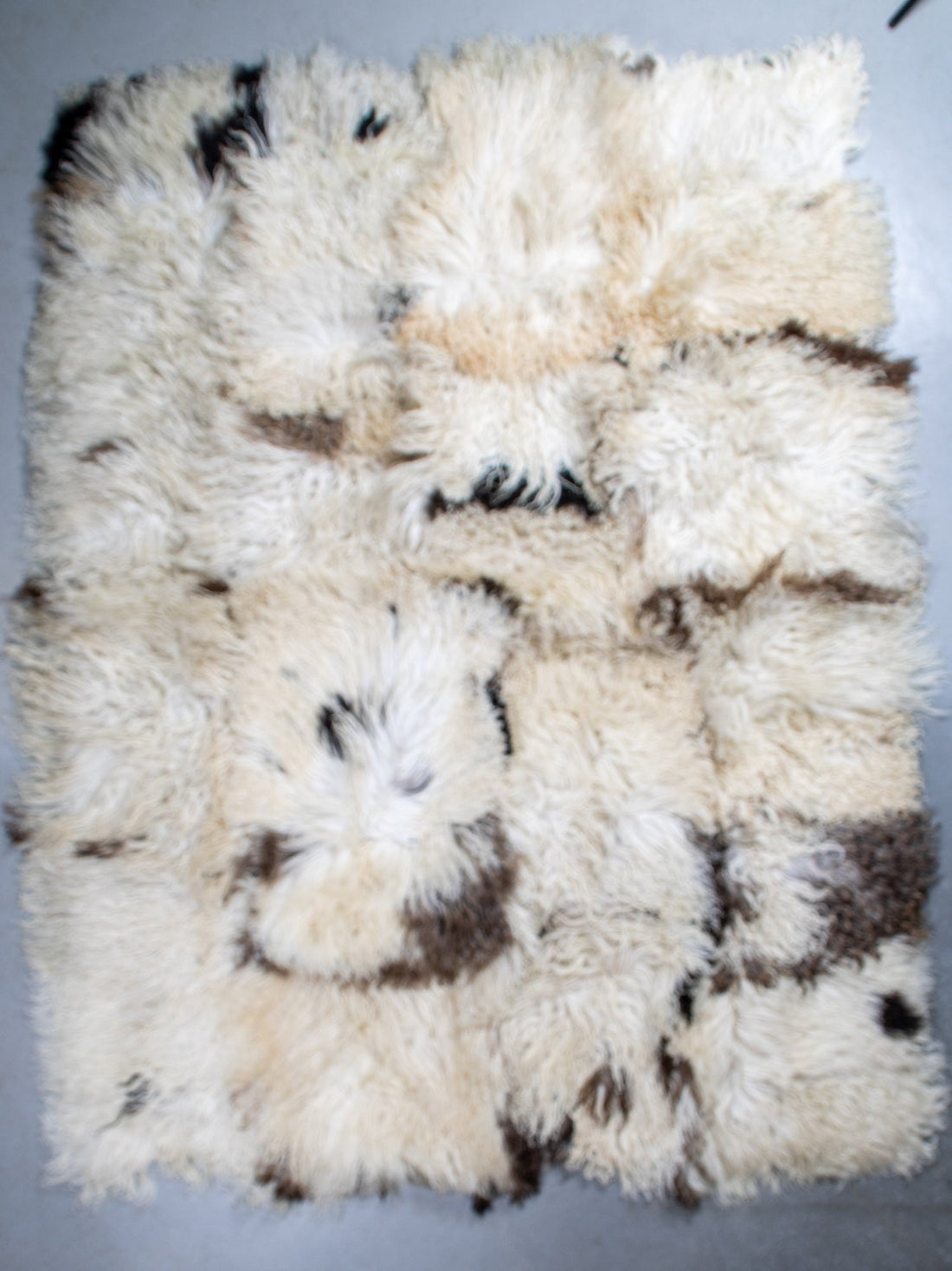 Schapenvacht vloerkleed - Krulvacht | 200x150 cm - 77