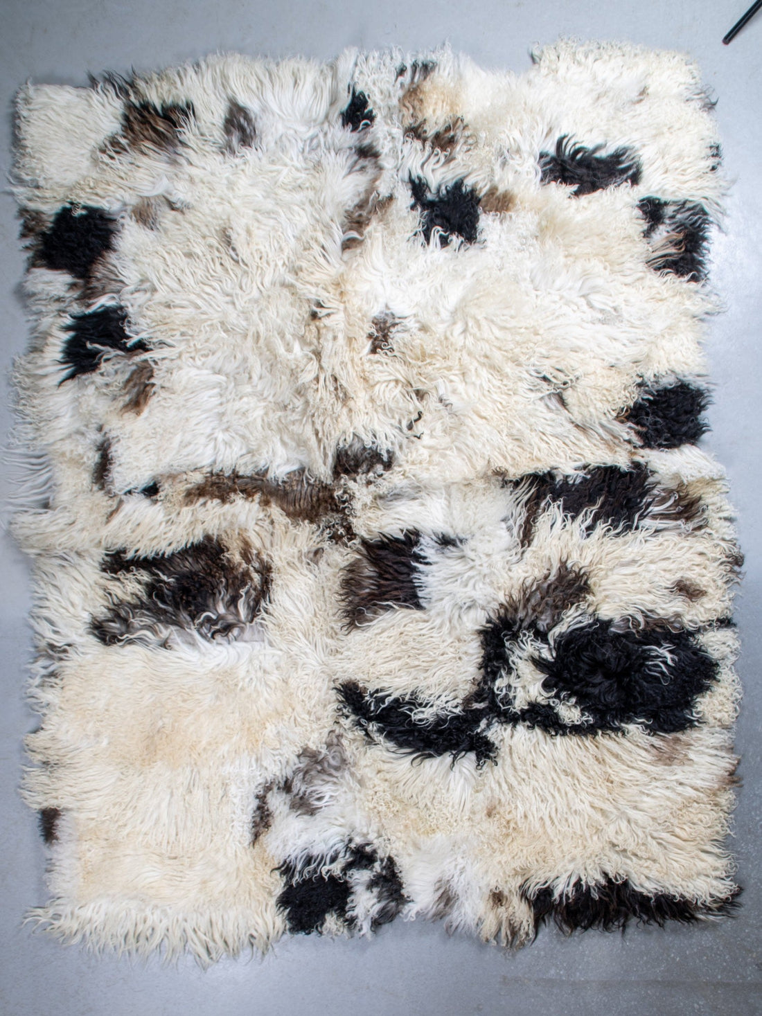 Schapenvacht vloerkleed - Krulvacht | 200x150 cm - 78