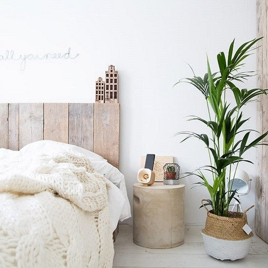 Amsterdamse grachtenpand - Keizersgracht 526 - Walnoot