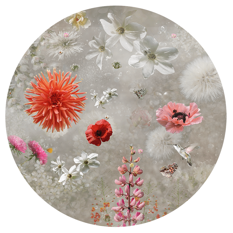 Behangcirkel Misty Poppy ⌀ 130 cm