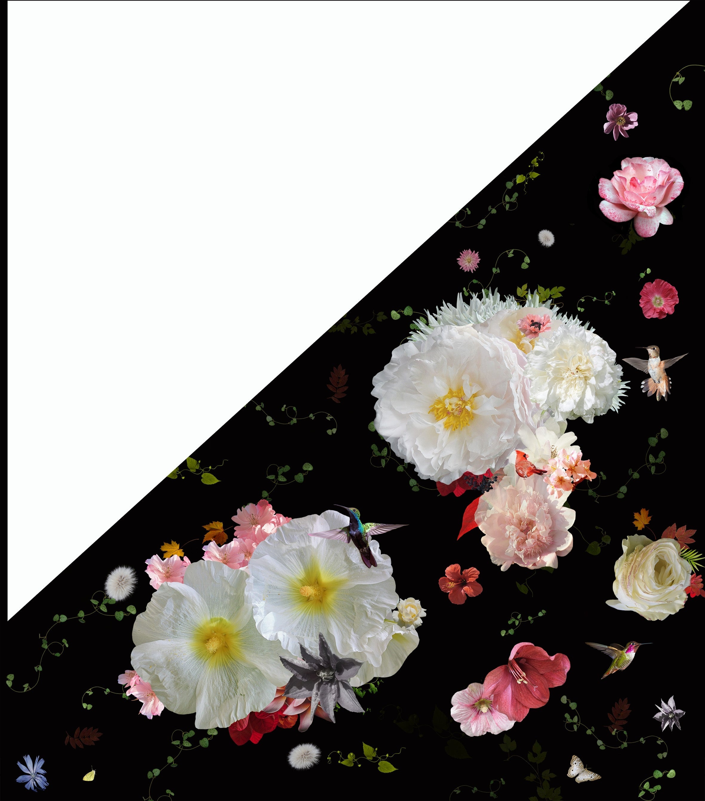 Behang Roses Sunrise I Provinyl