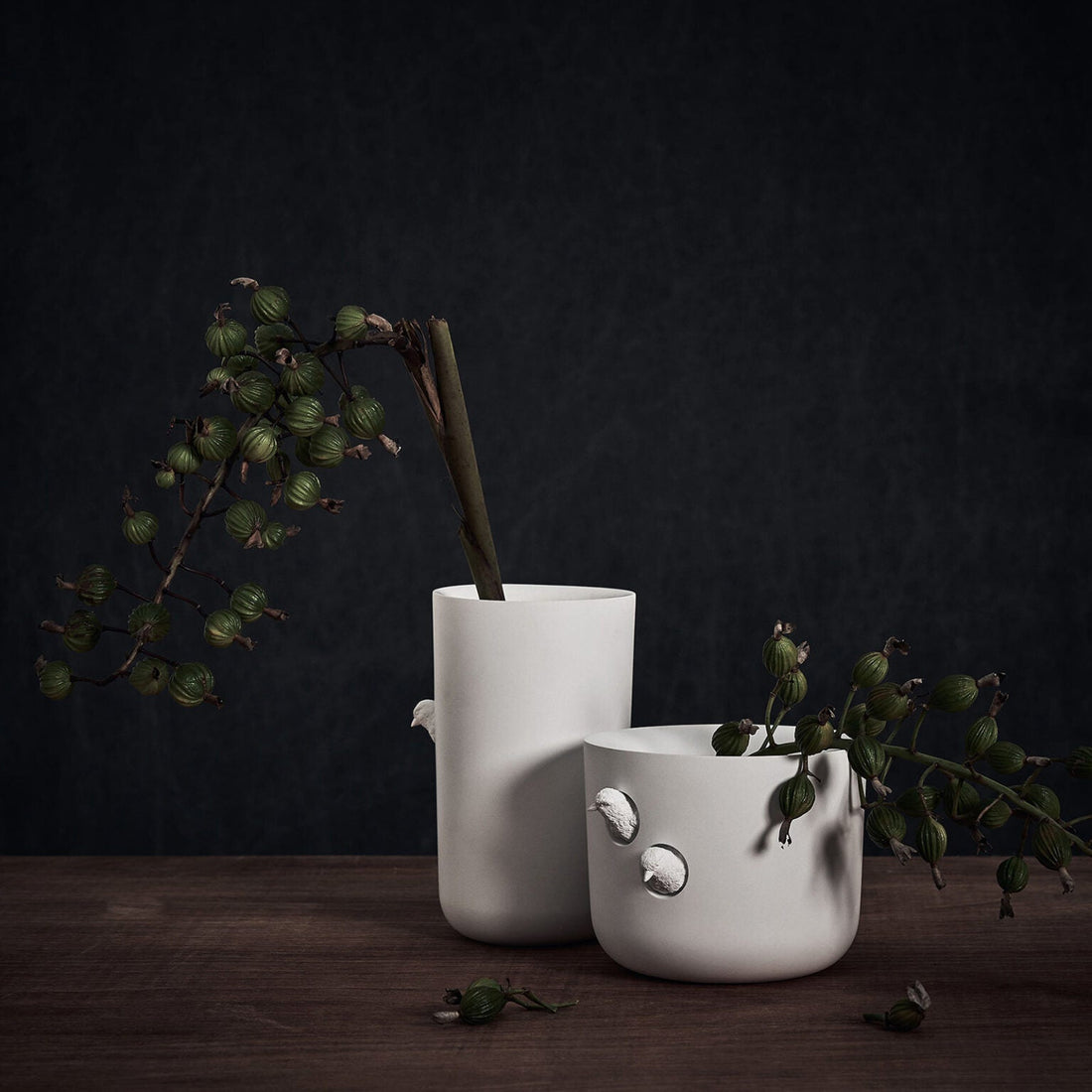 Sparrow X vaas Grand - HaoShi