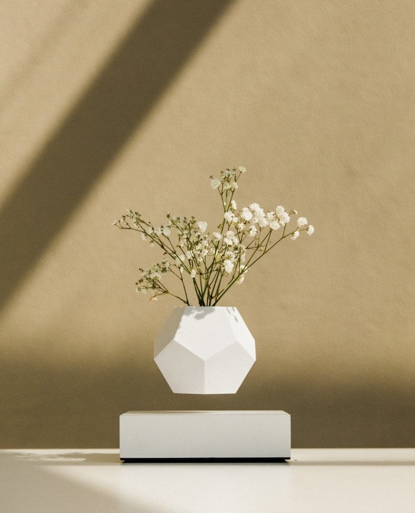 LYFE Levitating Planter – White