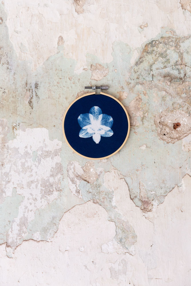 Cyanotype S Orchidee