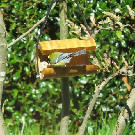 Bamboe Vetbolhouder Ballroom