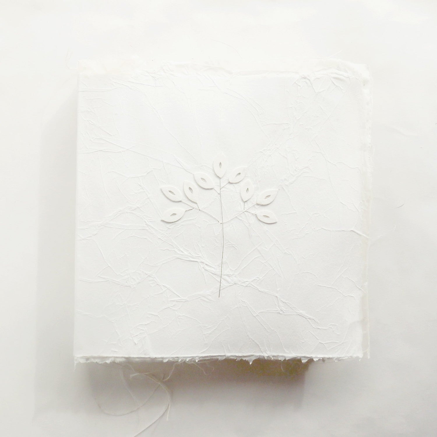 bruiloft, cadeau, boekobject &