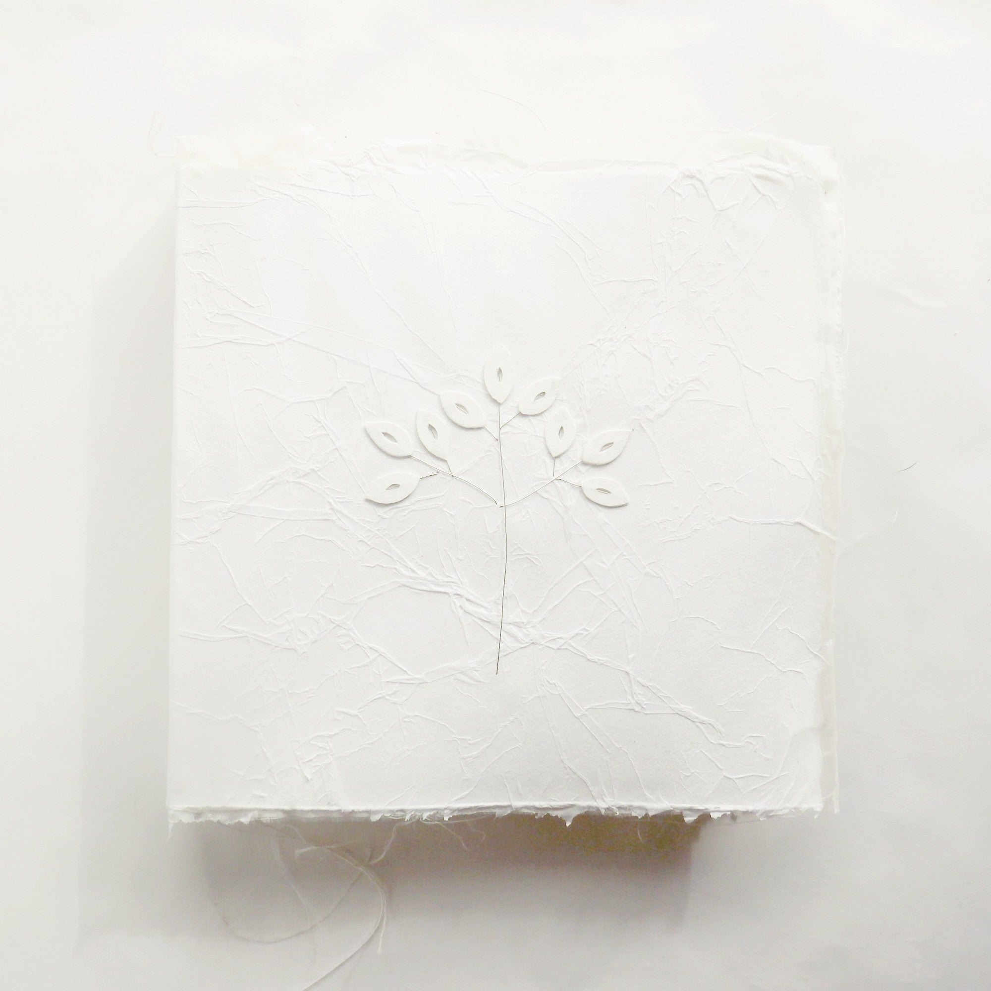 bruiloft, cadeau, boekobject &