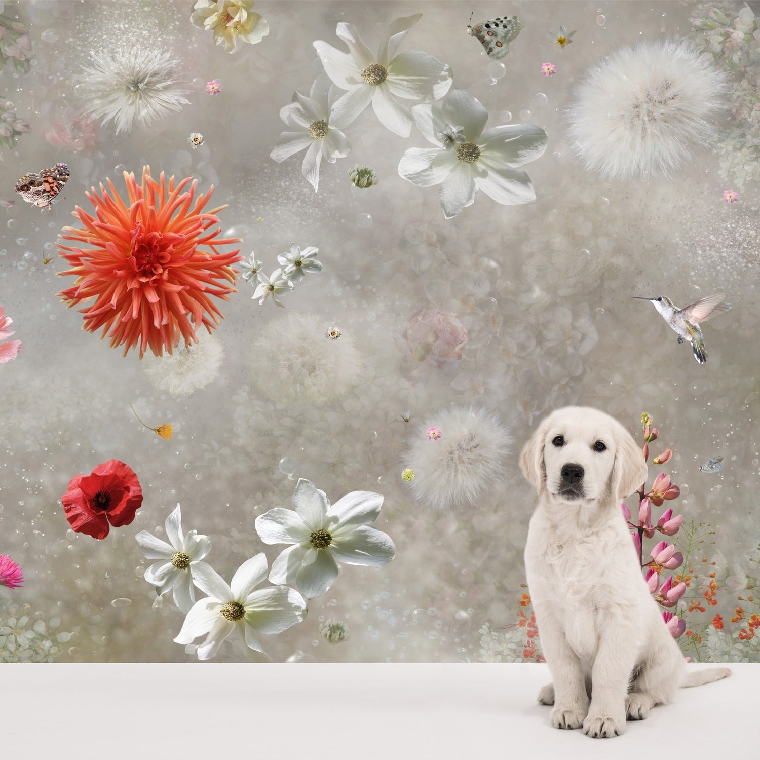 Behang Misty Poppy I Provinyl