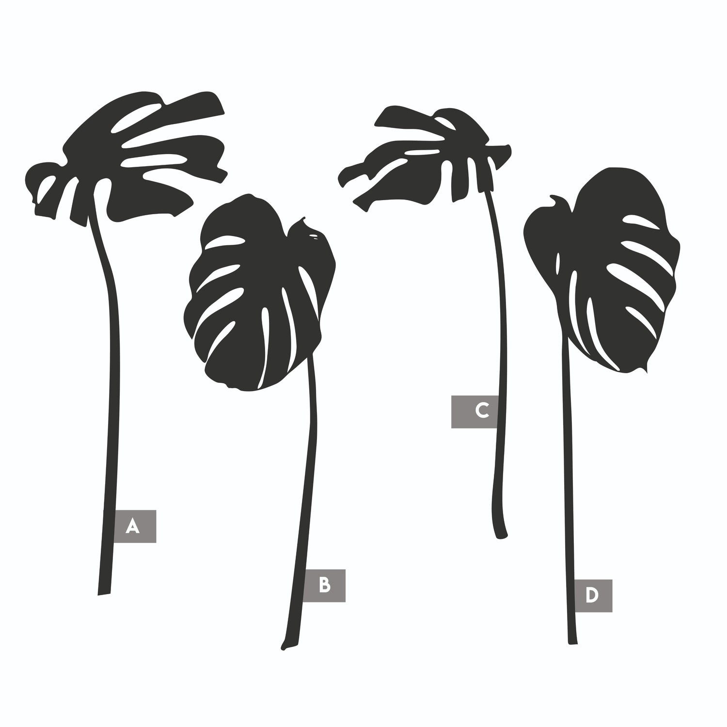 Monstera Sculptuur