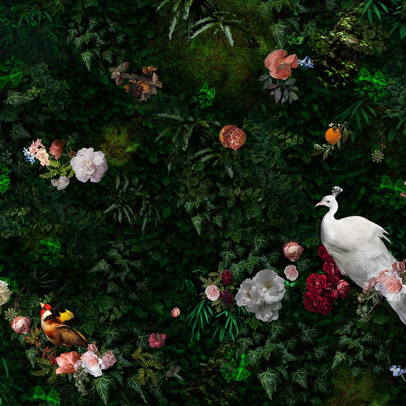 Behang The Peacock I Ecotex